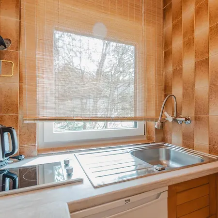 Holger By Interhome ツェル アム ゼー